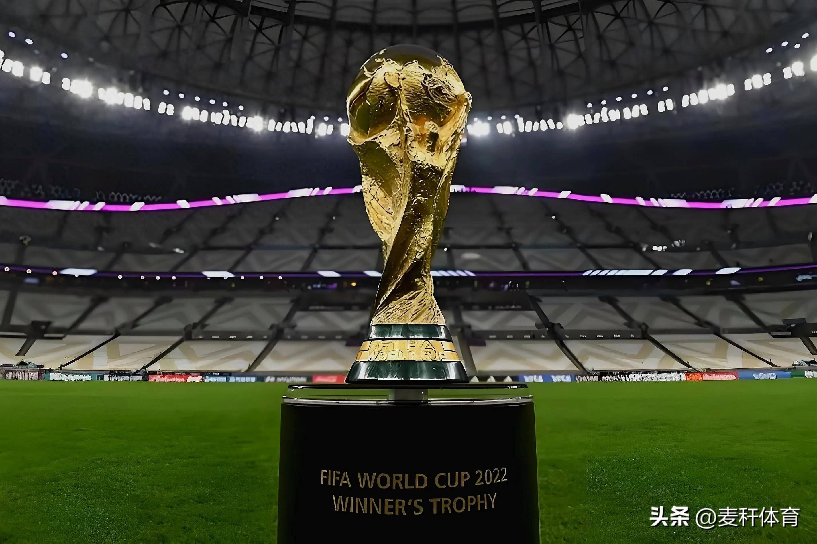 向于留下加 向于留下加